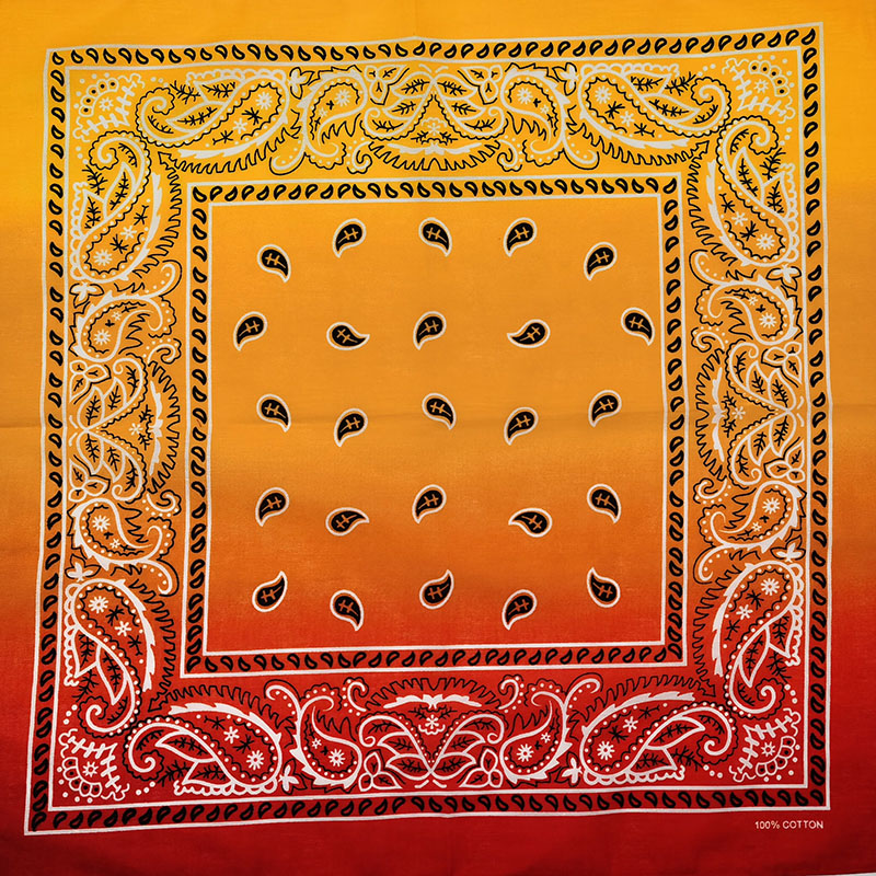 Fashion Unisex Black Paisley H - Bandana Blank White 评论和价格
