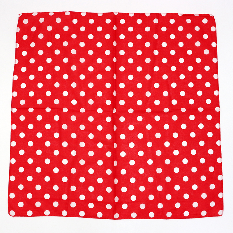 Basic Red/White/Black/Navy Dot - Bandana Blank White 评论和价格
